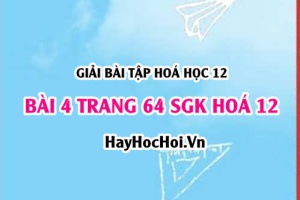 Giải bài 4 trang 64 SGK Hoá 12: Tính chất hoá học của Polime
